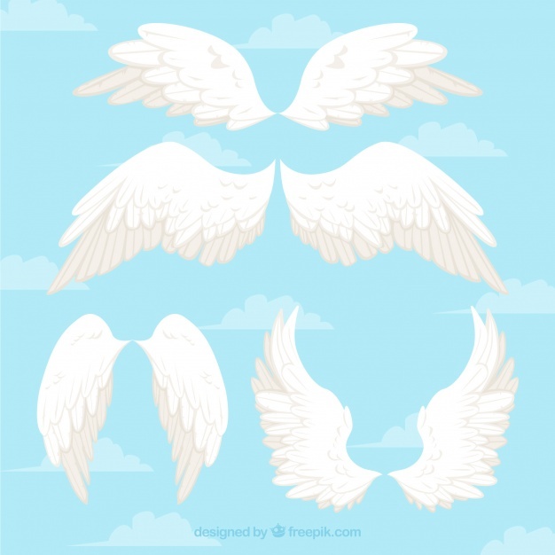 Download Baby Angel Wings Vector at Vectorified.com | Collection of ...