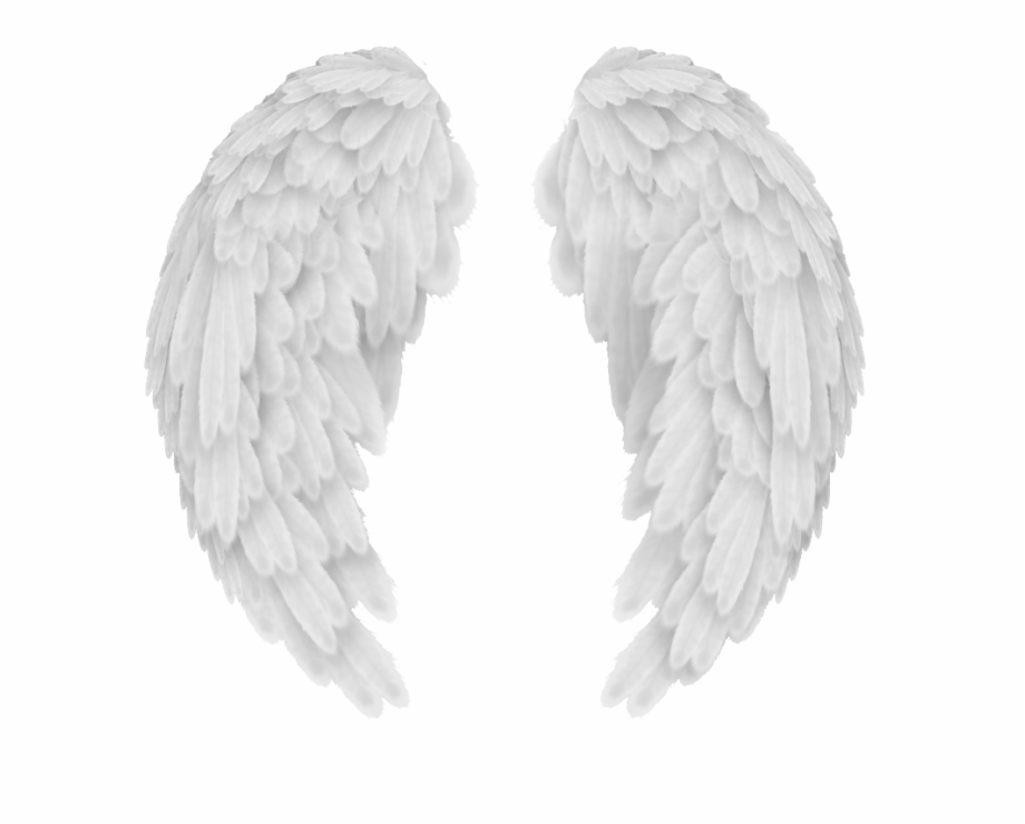 Baby Angel Wings Vector at Vectorified.com | Collection of ...