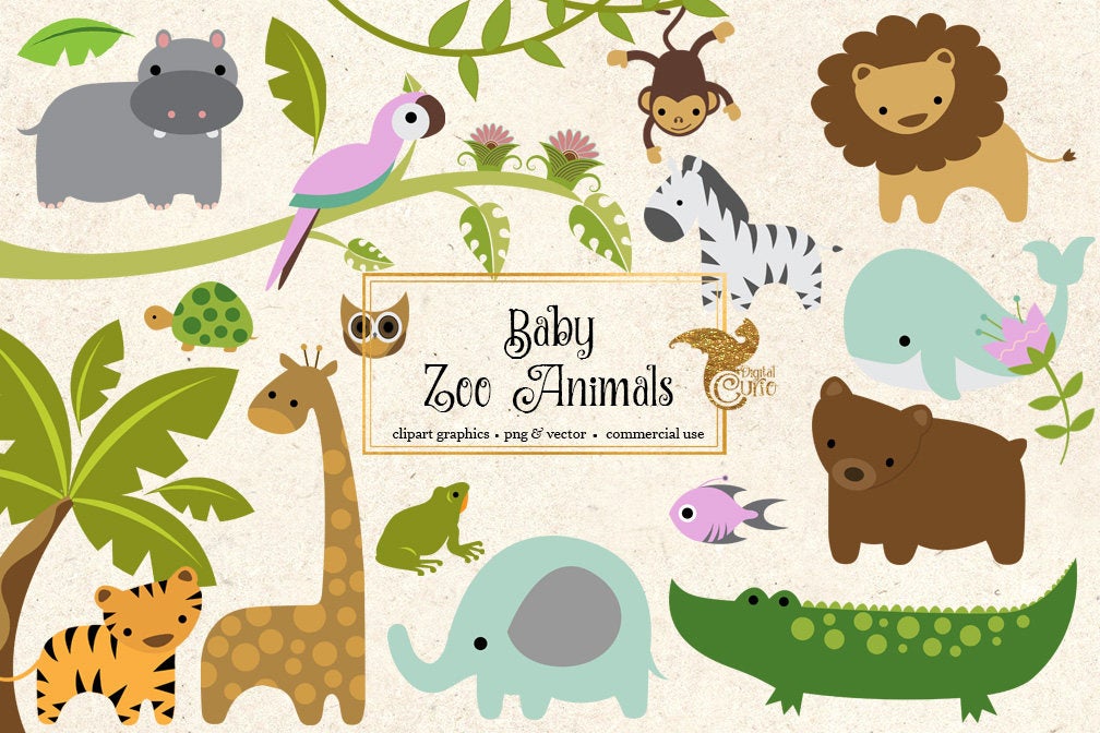 Baby Zoo Animals Clipart Png And Vector Clip Art Set Etsy 1008x672 Baby Zoo Animals Clipart Png And Vector Clip Art Set Etsy