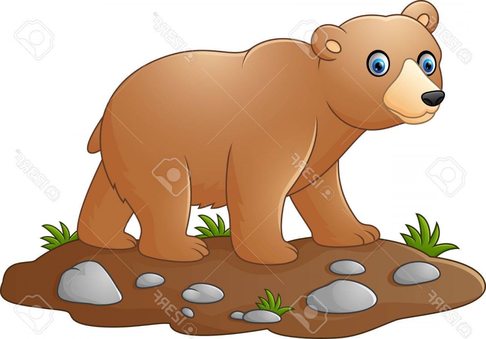 Photostock Vector Cute Baby Bear Cartoon Soidergi 1560x1089 Photostock Vector Cute Baby Bear Cartoon Soidergi