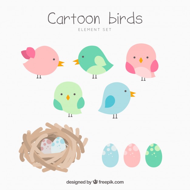 626x626 Bird Vectors, Photos And Free Download