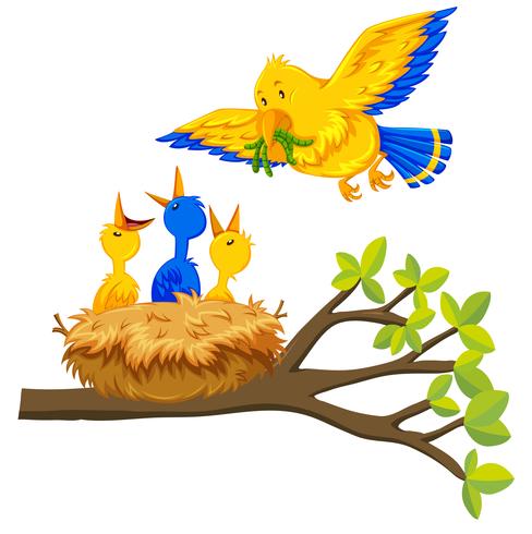 488x490 Bird Feeding Baby Bird