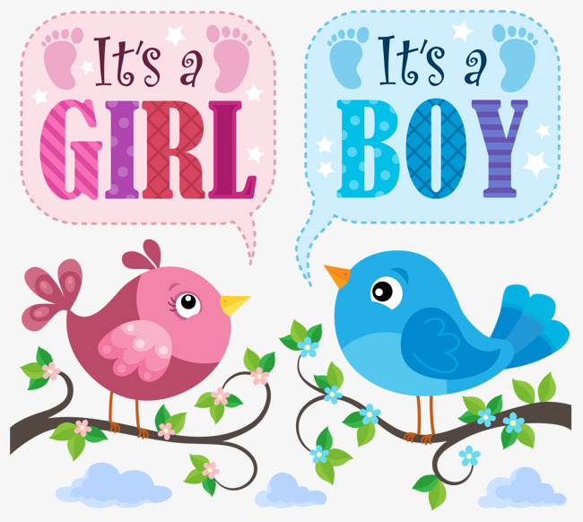 650x582 Cute Baby Bird Png Transparent Cute Baby Bird Images
