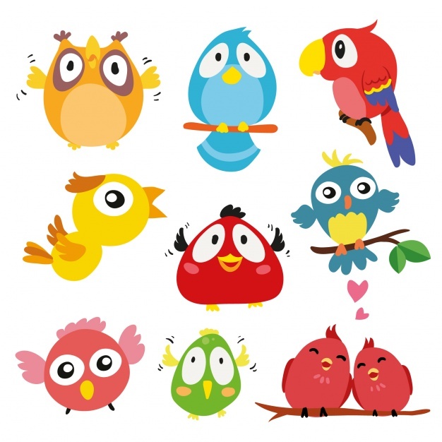 626x626 Parrot Vectors, Photos And Free Download