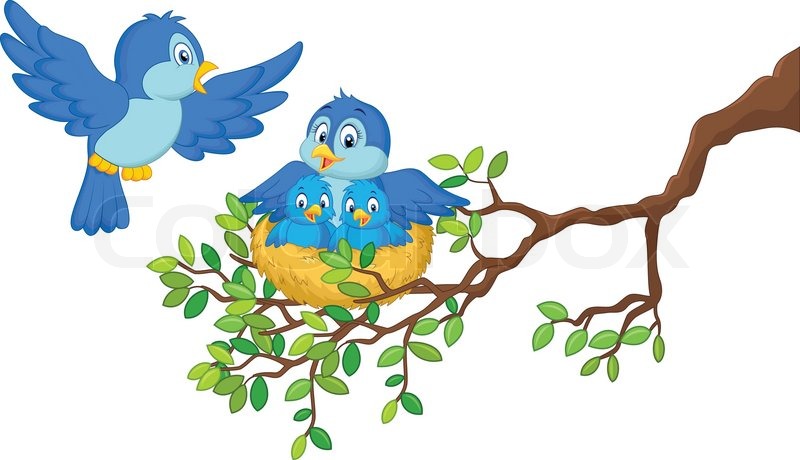 800x460 Vector Illustration Of Birds With Her Stock Vector Colourbox