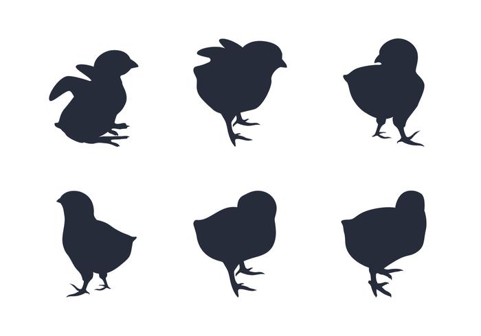 Chick Silhouette Vectors 700x490 Chick Silhouette Vectors