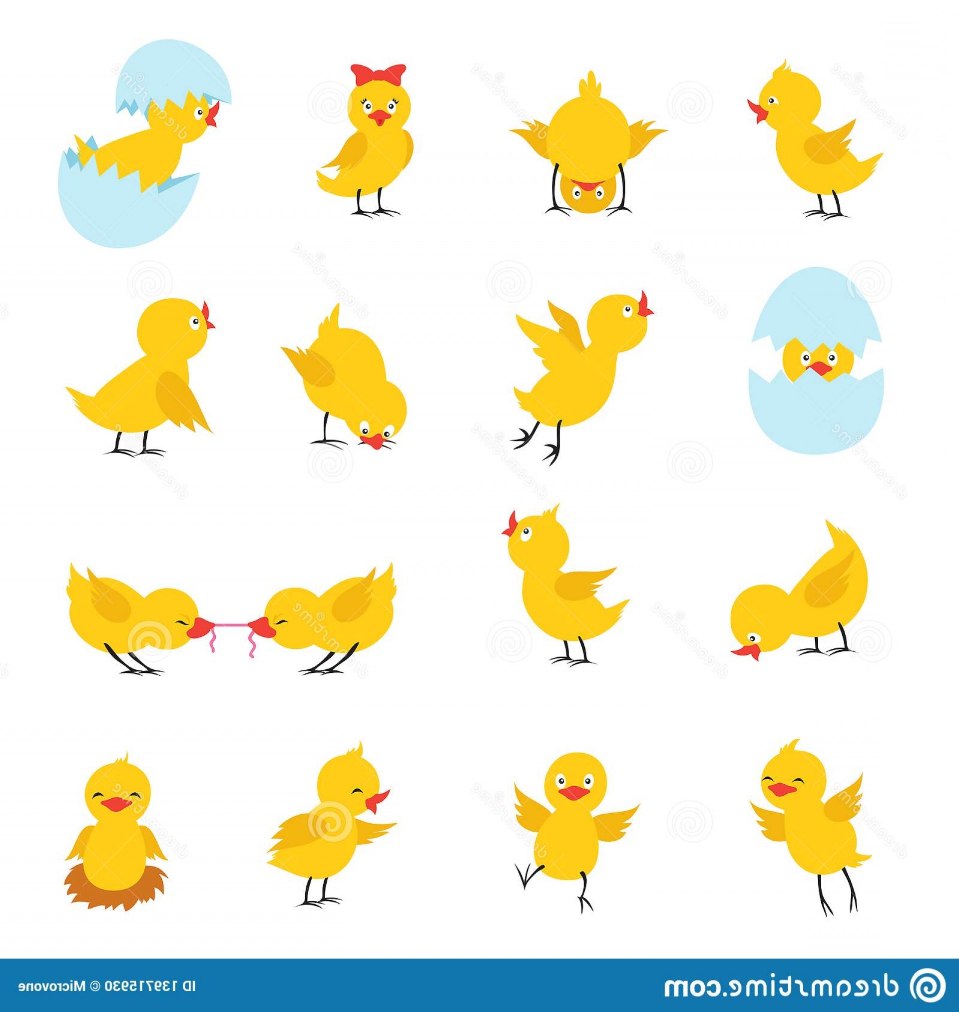 Cute Chicks Cartoon Easter Baby Chickens Eggs Funny Yellow Chick 1920x2026 Cute Chicks Cartoon Easter Baby Chickens Eggs Funny Yellow Chick