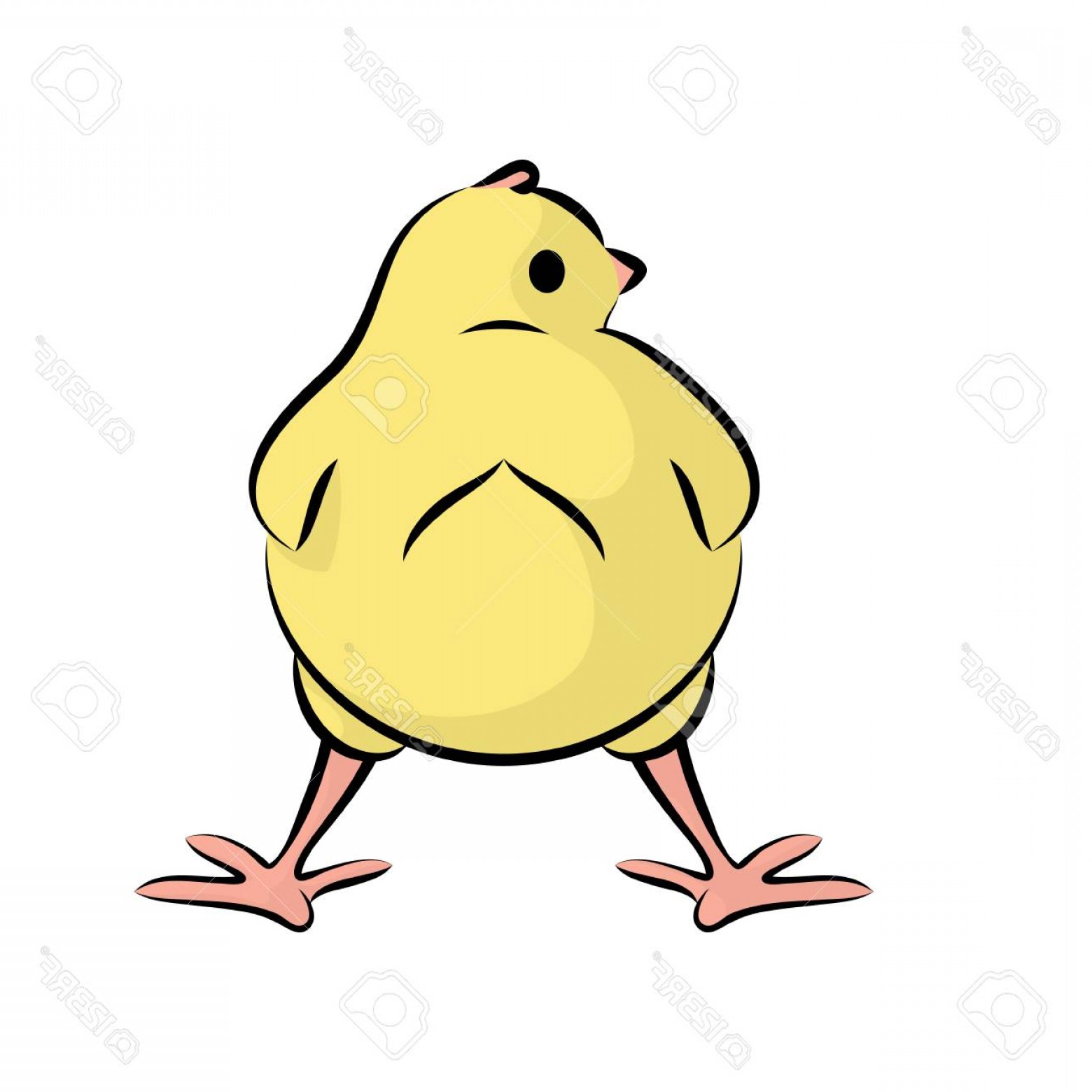 Photostock Vector Cute Little Chick Vector Illustration Of A Baby 1560x1560 Photostock Vector Cute Little Chick Vector Illustration Of A Baby