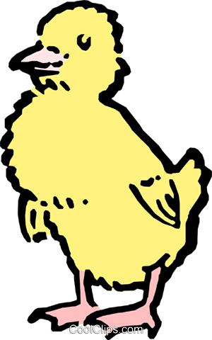 Baby Chick Royalty Free Vector Clip Art Illustration 300x480 Baby Chick Royalty Free Vector Clip Art Illustration