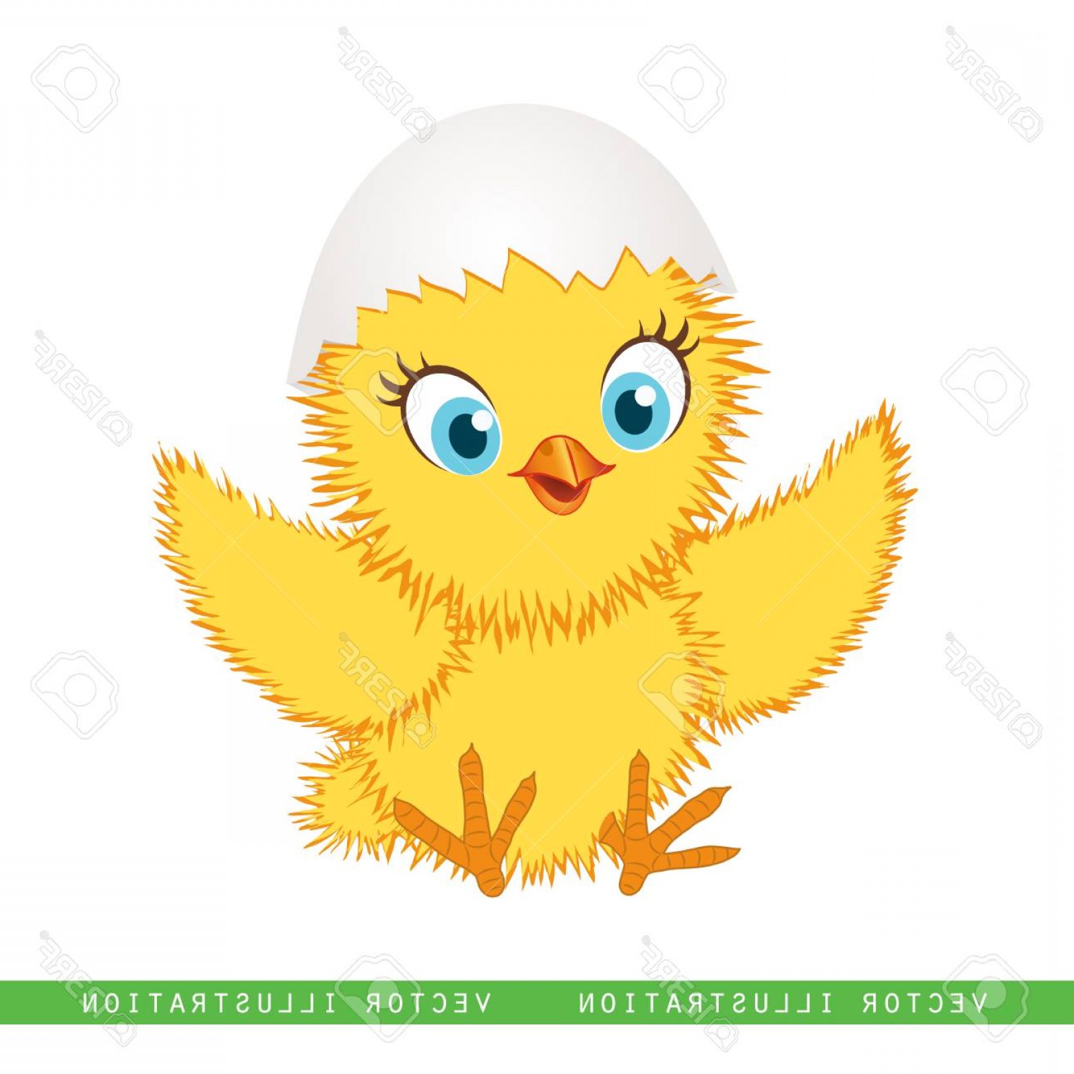 Yellow Chick Vector Cultracing 1560x1560 Yellow Chick Vector Cultracing