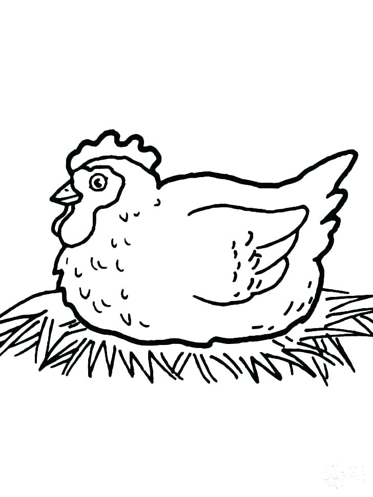 Baby Chick Outline 728x971 Baby Chick Outline