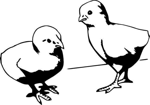 Baby Chicks Clip Art 600x420 Baby Chicks Clip Art