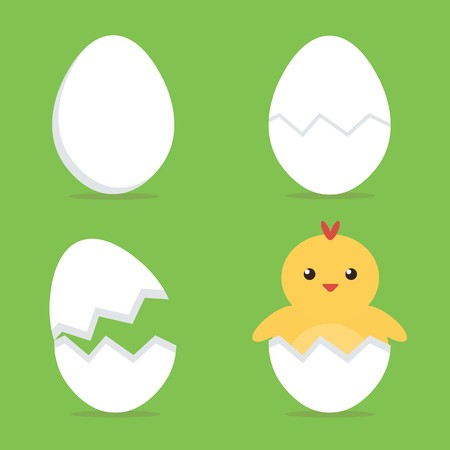 Baby Chick Hatching From The Egg Process Flat Design Vector 450x450 Baby Chick Hatching From The Egg Process Flat Design Vector