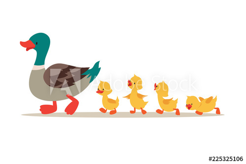 500x334 Mother Duck And Ducklings Cute Baby Ducks Walking In Row Cartoon