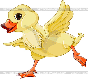 300x269 Baby Duck