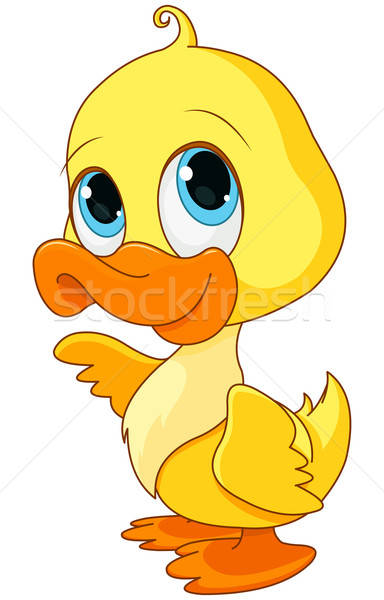 384x600 Baby Duck Vector Illustration Anna Velichkovsky