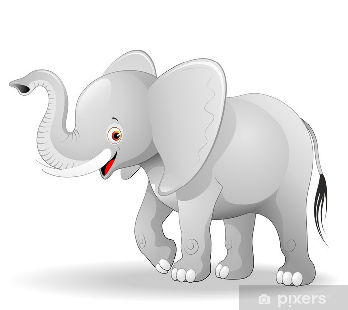Elefante Cucciolo Cartoon Cute Baby Elephant Vector Wall Mural 700x625 Elefante Cucciolo Cartoon Cute Baby Elephant Vector Wall Mural