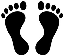 256x224 Footprint Free Vector Download