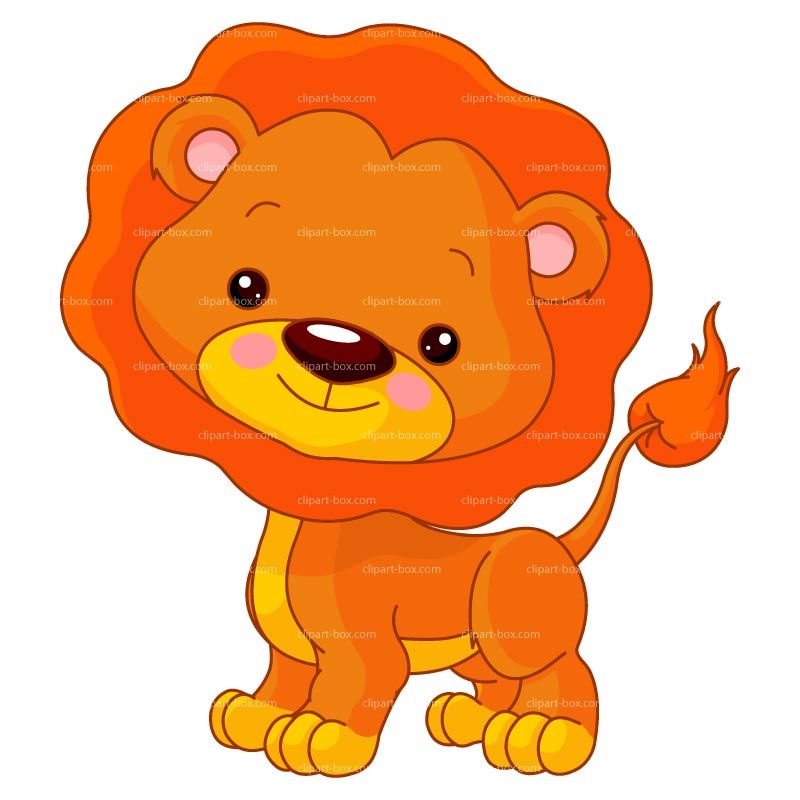 800x800 Clipart Cartoon Lion Royalty Free Vector Design Pic