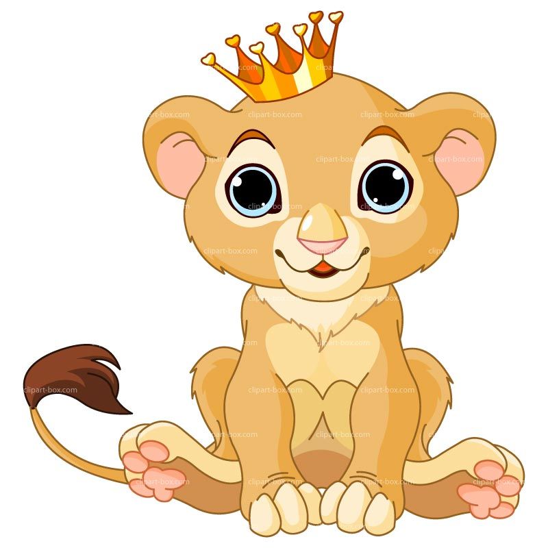 800x800 Diy's Baby Clip Art, Lion