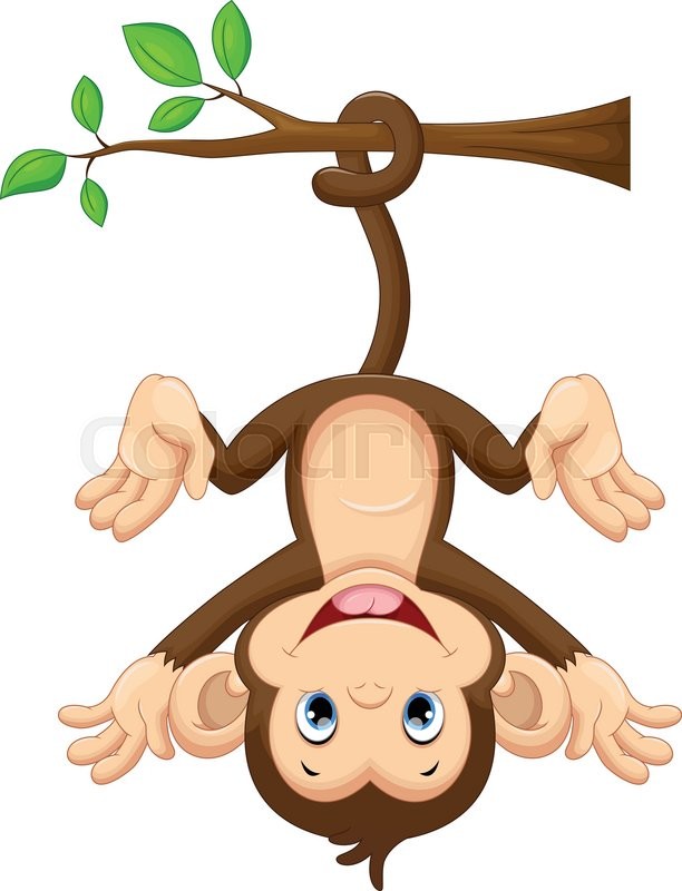 612x800 Illustration Of Cute Baby Monkey Stock Vector Colourbox