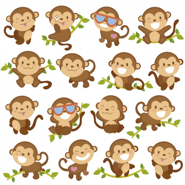 626x626 Monkey Vectors, Photos And Free Download