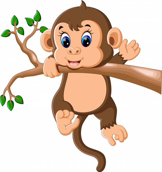 626x665 Baby Monkey Vector Premium Download