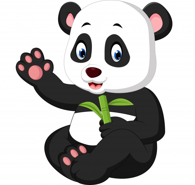 Baby Panda Cartoon Vector Premium Download 626x593 Baby Panda Cartoon Vector Premium Download