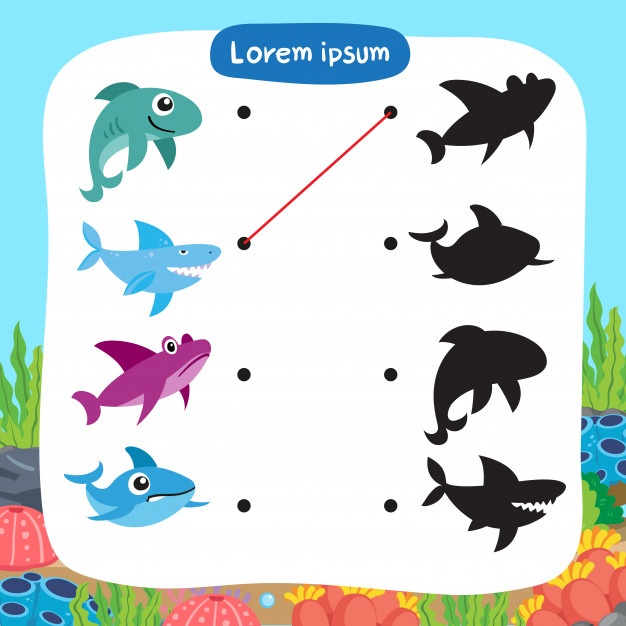 Baby Shark Vectors, Photos And Free Download 626x626 Baby Shark Vectors, Photos And Free Download