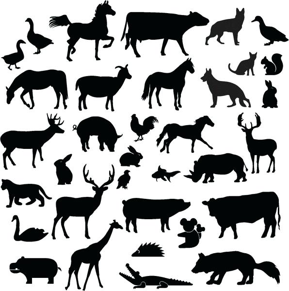 596x600 Animal Silhouettes