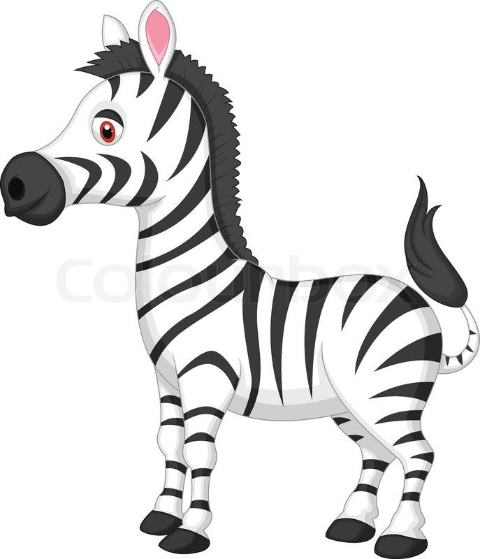 Baby Zebra Cartoon Vector Illustration Of Cute Zebra Cartoon 687x800 Baby Zebra Cartoon Vector Illustration Of Cute Zebra Cartoon