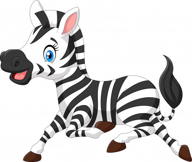 Cute Baby Zebra Vector Premium Download 626x531 Cute Baby Zebra Vector Premium Download