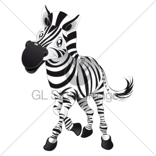 Baby Zebra Gl Stock Images 500x500 Baby Zebra Gl Stock Images