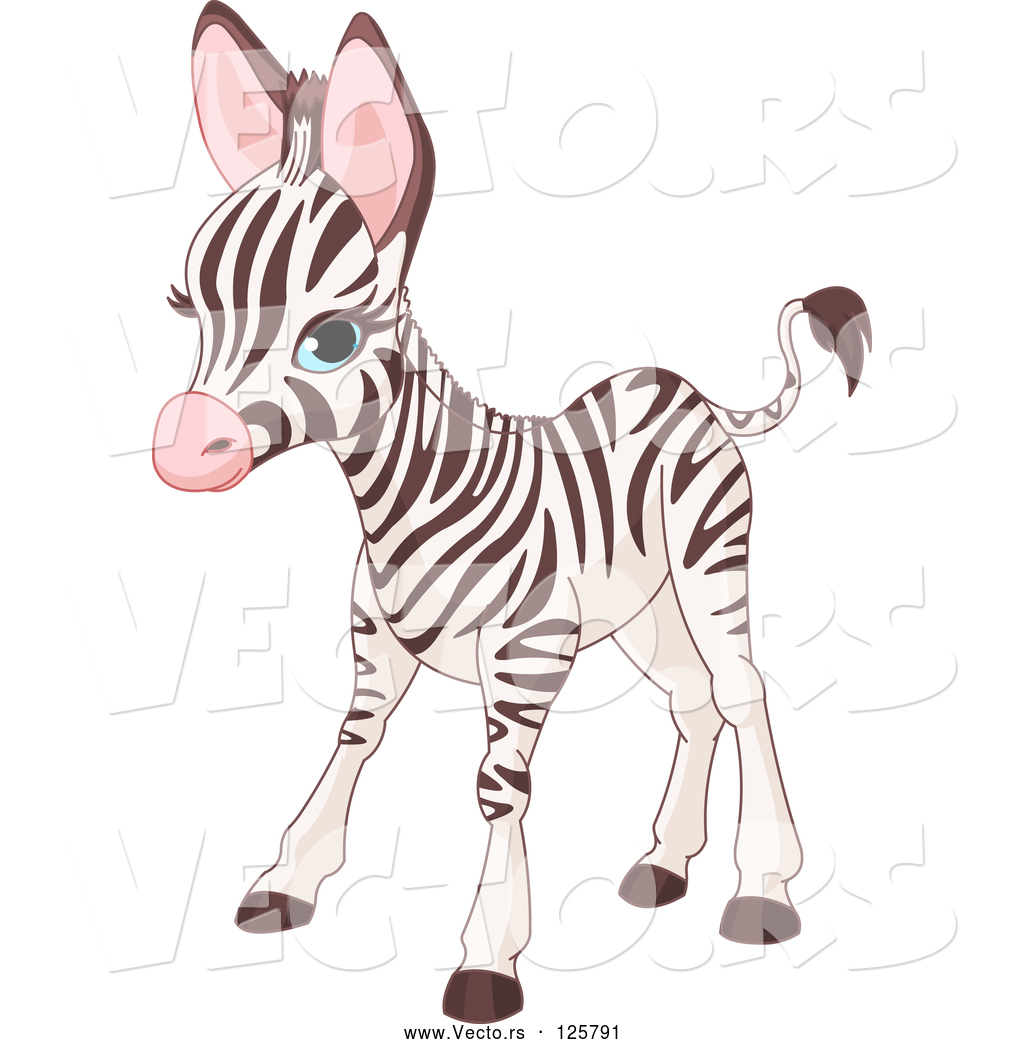 Download Baby Zebra Vector at Vectorified.com | Collection of Baby ...