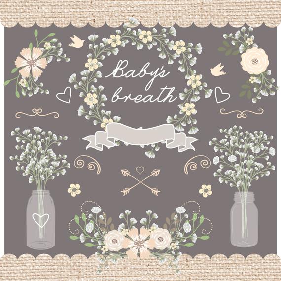 570x570 Premium Vector Rustic Baby's Breath Wedding Clipart Jar Etsy