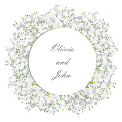 240x240 Search Photos Babys Breath