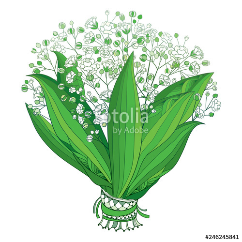 500x500 Vector Bride Bouquet Of Outline Gypsophila Or Baby's Breath Branch