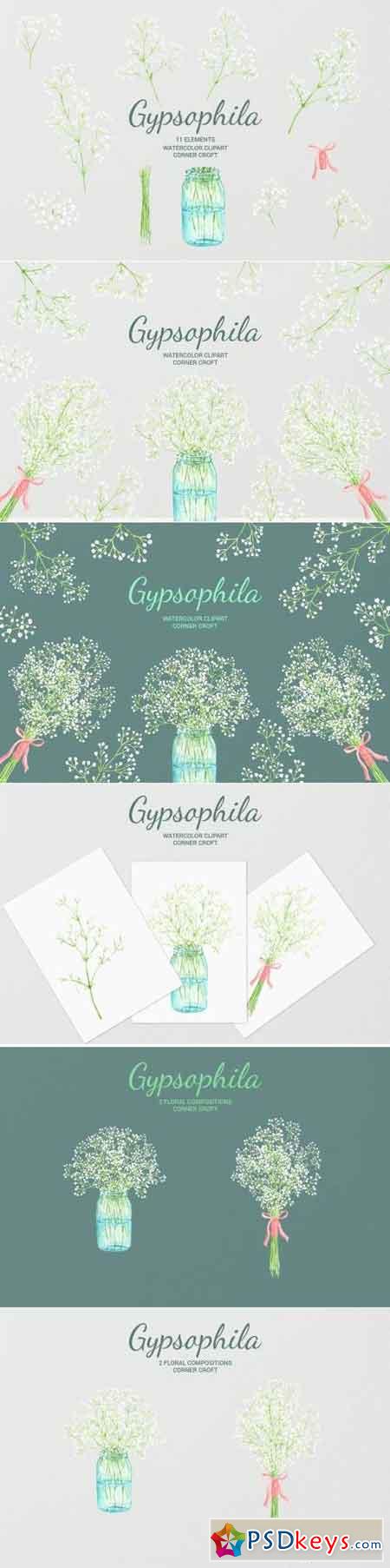450x1805 Watercolor Gypsophila Baby's Breath Illustration Free Download
