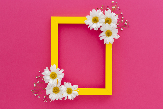 626x417 Yellow Frame Decorated With White Daisy And Baby's Breath Flowers