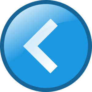 300x300 Back Button Clip Art