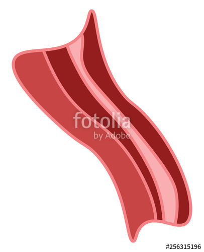 A Pink Bacon, Vector Color Illustration Stock Image And Royalty 406x500 A Pink Bacon, Vector Color Illustration Stock Image And Royalty