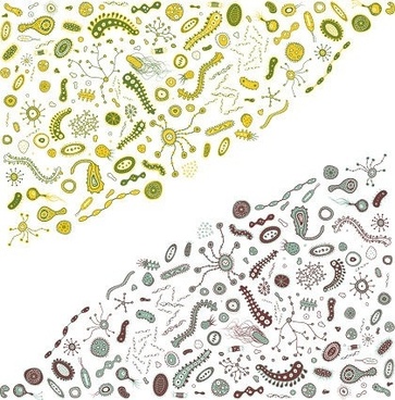 363x368 Bacteria Free Vector Download