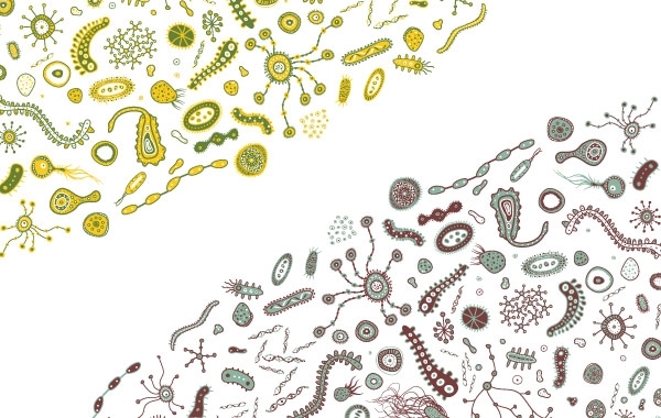 600x380 Free Vectors Bacteria Vector Dragonartz