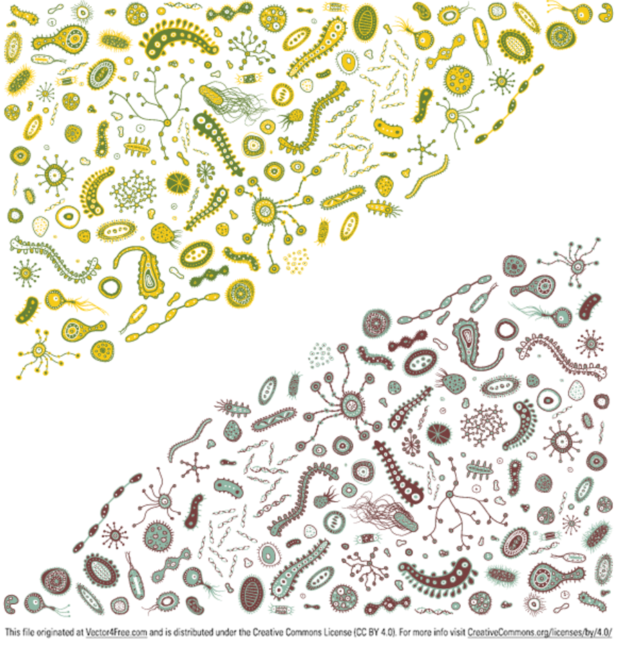 893x936 Bacteria Vector