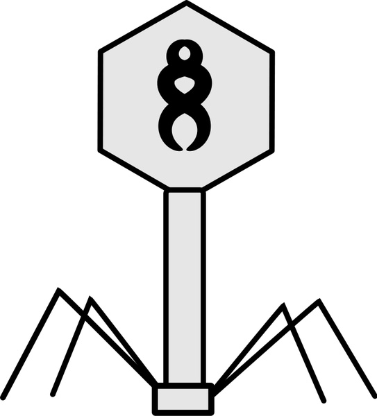 Bacteriophage Free Vector In Open Office Drawing 543x600 Bacteriophage Free Vector In Open Office Drawing