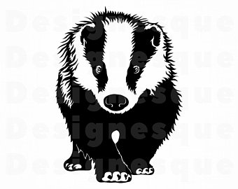 Badger Vector Etsy 340x270 Badger Vector Etsy