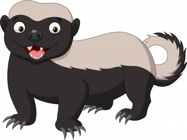 Cartoon Honey Badger Vector Premium Download 626x470 Cartoon Honey Badger Vector Premium Download