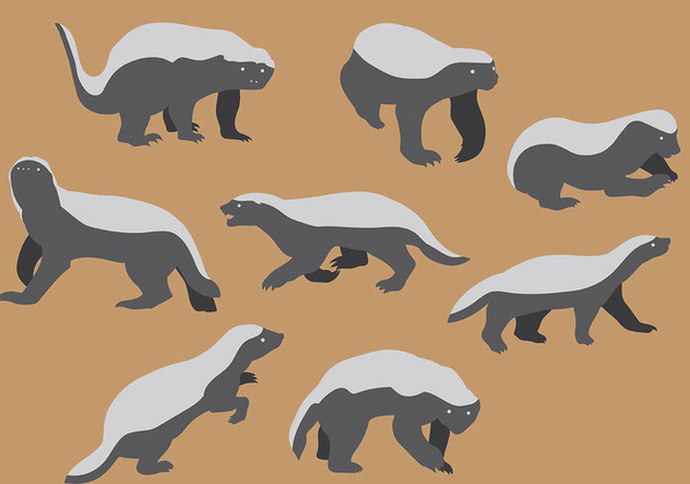 Du Vecteur Gratuit Free Honey Badger Icons Vector 632x443 Du Vecteur Gratuit Free Honey Badger Icons Vector