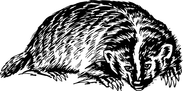 Vector Badger Free Vector Download 600x299 Vector Badger Free Vector Download