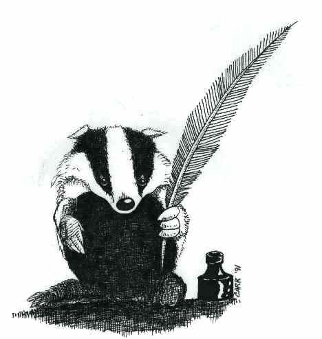 Badger Drawings 468x494 Badger Drawings